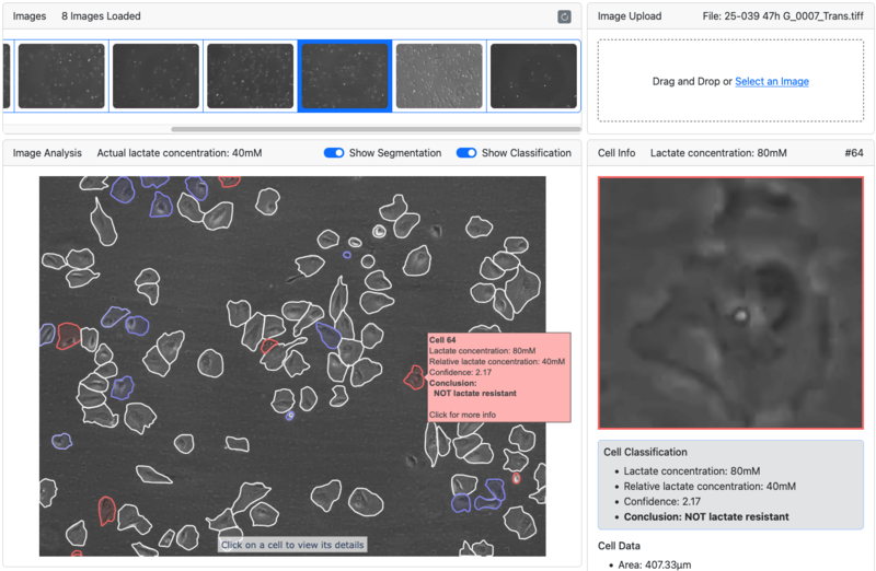 SCENNIA: Microbial Cell Image Segmentation & Classification